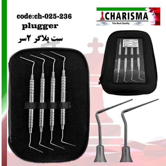 ست هیت کریر پلاگر کاریزما